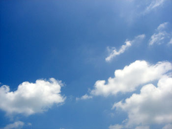 気持ちの良い朝は、気持ちの良い挨拶を。
                          そうすればなんか良い一日になりそうな予感がします。